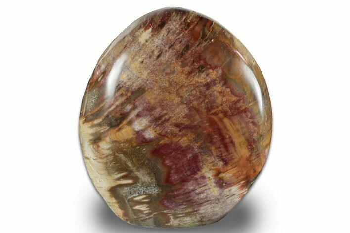 Free-Standing, Polished Petrified Wood - Madagascar #256723